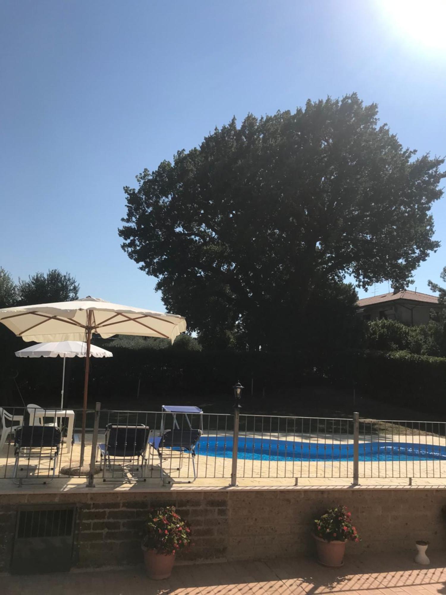 Agriturismo Cerquatonda Montalto delle Marche Zewnętrze zdjęcie