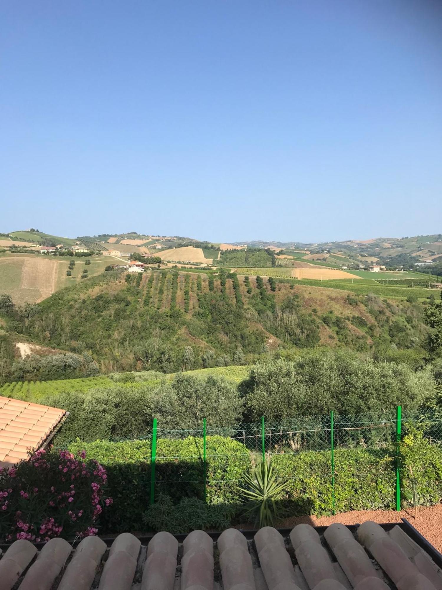 Agriturismo Cerquatonda Montalto delle Marche Zewnętrze zdjęcie