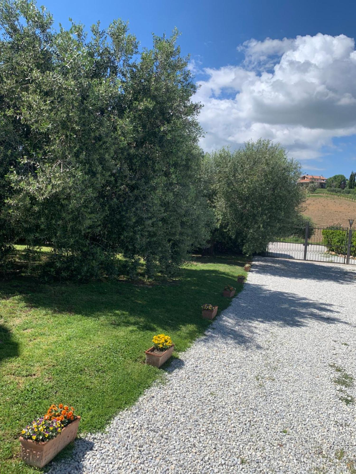 Agriturismo Cerquatonda Montalto delle Marche Zewnętrze zdjęcie